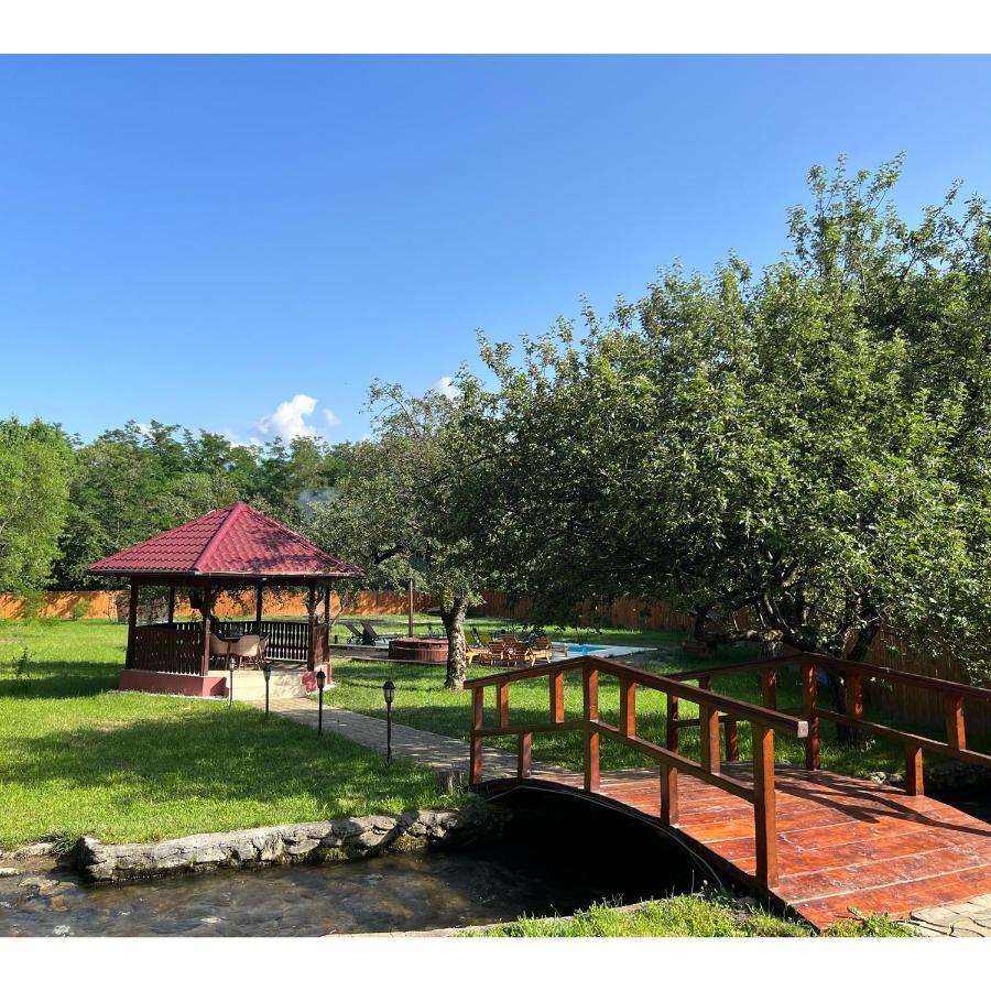 Horace Guesthouse Pool & Hot Tub & Bikes & River Dejani Buitenkant foto